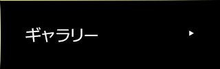 ギャラリー